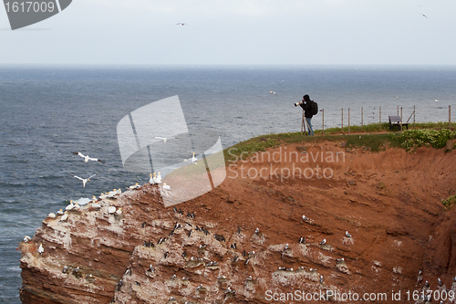 Image of A photographer on Helgoland 