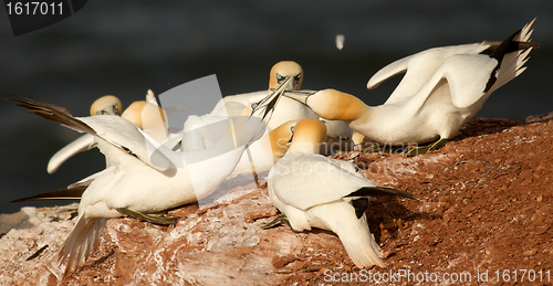 Image of Two couples fighting