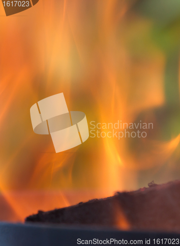 Image of Burning fire close-up