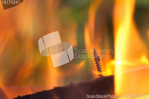 Image of Burning fire close-up