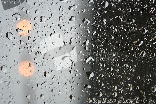 Image of Rain drops