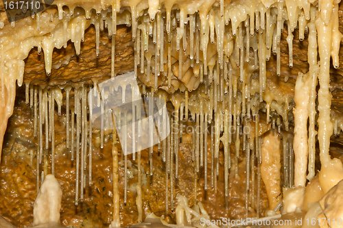 Image of Hanging waterdrops in a cave