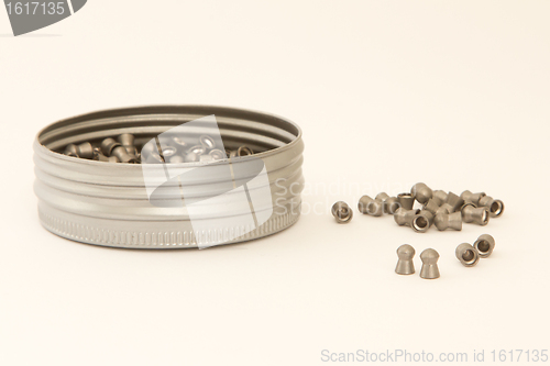 Image of A can of airgun bullets