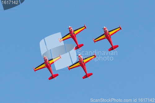 Image of Belgium Red Devils 