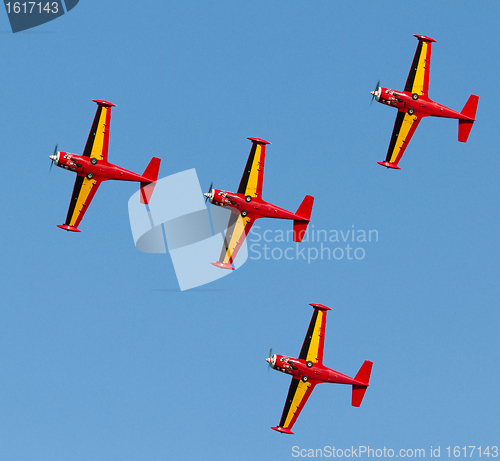 Image of Belgium Red Devils 