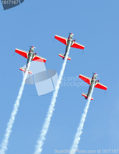 Image of Royal Jordanian Falcons