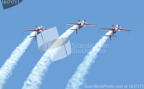 Image of Royal Jordanian Falcons