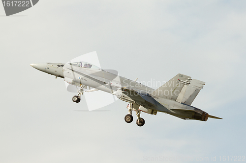 Image of Finish F-18