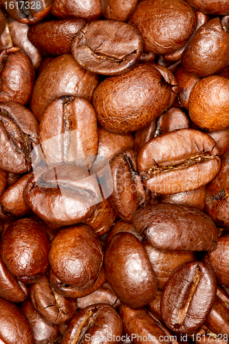 Image of Coffee beans