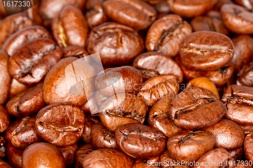 Image of Coffee beans