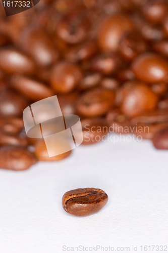 Image of Coffee beans