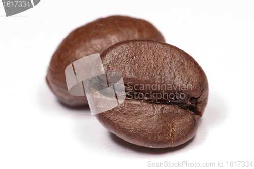 Image of Two coffee beans