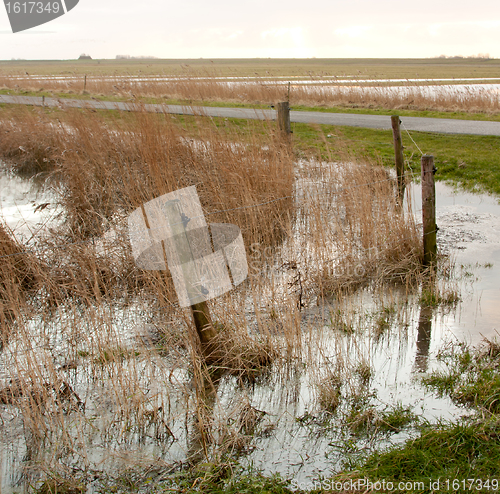 Image of Flooding in Holland