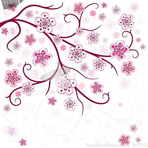 Image of Spring branch