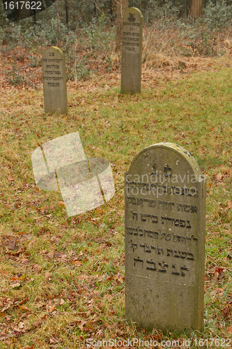 Image of An old jewish graveyard