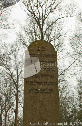 Image of An old jewish graveyard