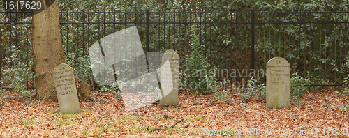 Image of An old jewish graveyard