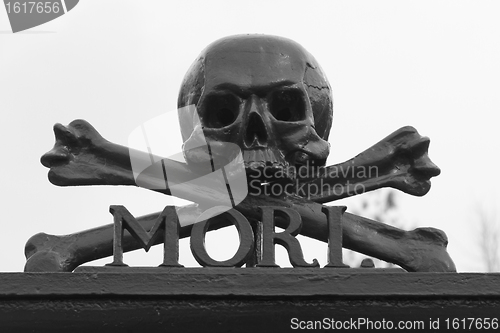 Image of A skull at a graveyard 