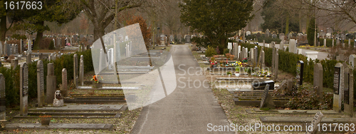 Image of An new graveyard