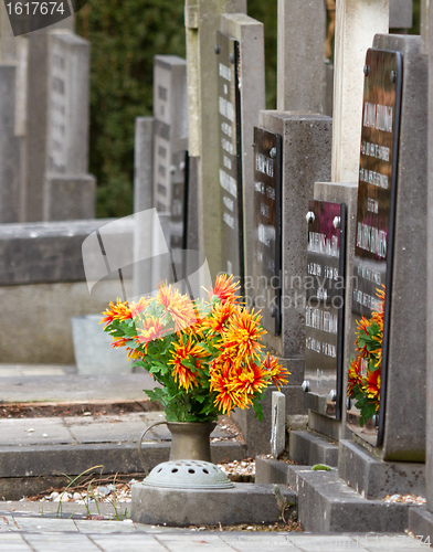 Image of Fresh flowers on a grave