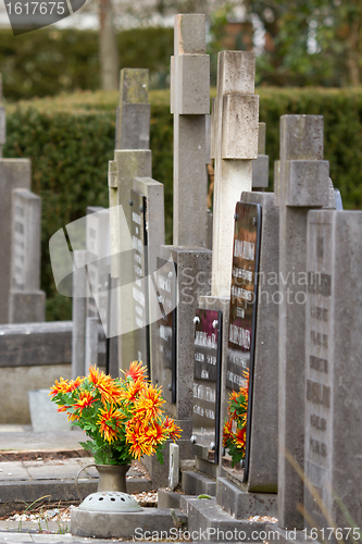 Image of Fresh flowers on a grave