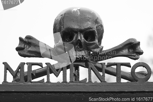 Image of A skull at a graveyard 