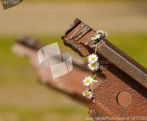 Image of A flower on the track