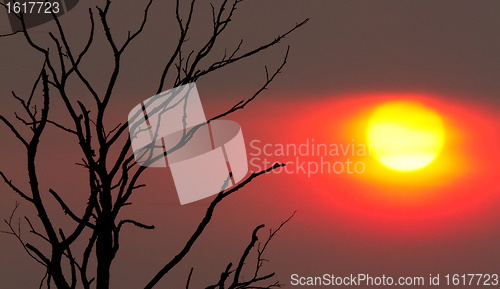 Image of Mysterious sunset