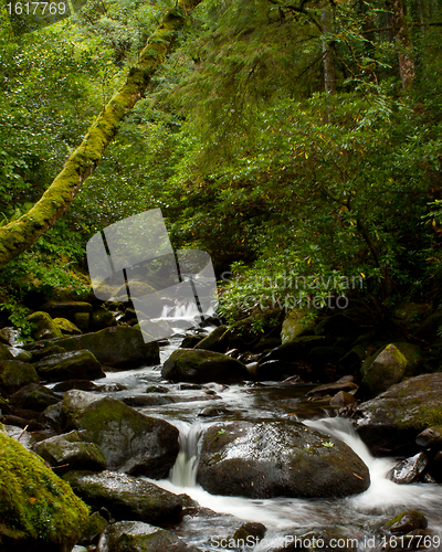 Image of A waterfall in central Ireland