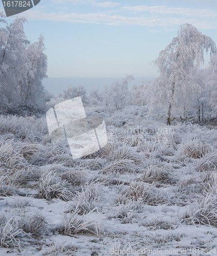Image of A landscape of ice