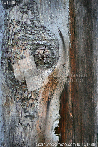 Image of old wood texture