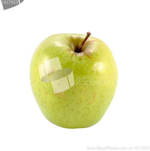 Image of green apple