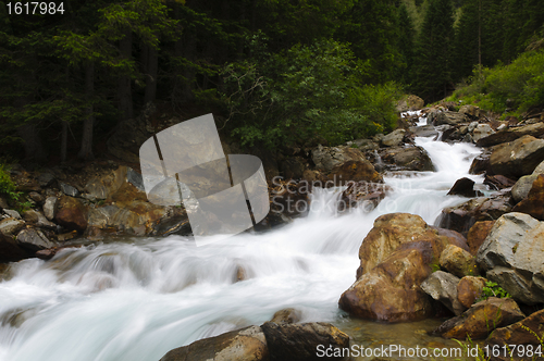 Image of Stream in the Italian mountains