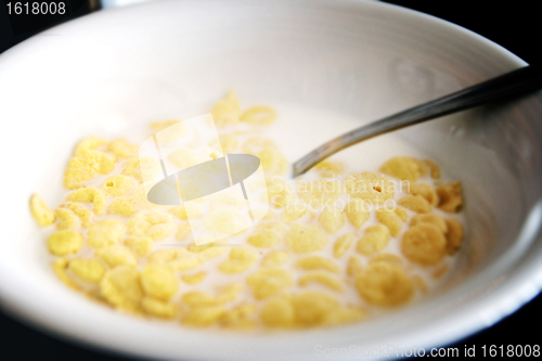 Image of Milk and cornflakes