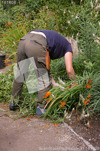 Image of Gardener At Work 01