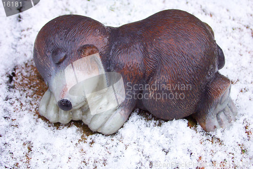 Image of sleeping mole
