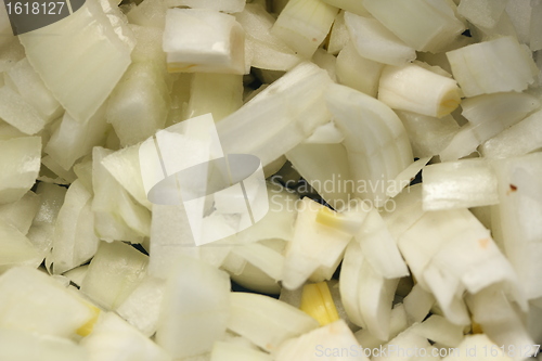 Image of onion texture