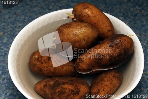 Image of potatoes