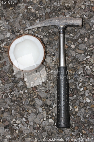 Image of coconut and hammer