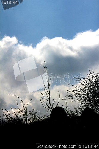 Image of shadow nature in front of a blue sky