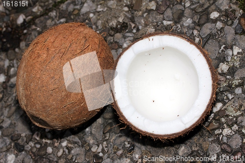 Image of coconuts