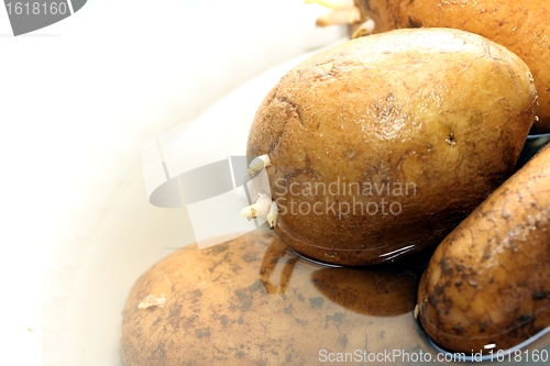 Image of potatoes