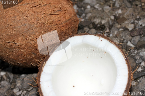 Image of coconuts