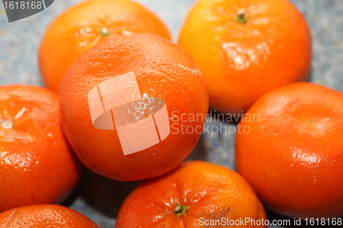 Image of tangerines
