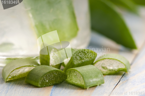 Image of aloe vera juice with fresh leaves