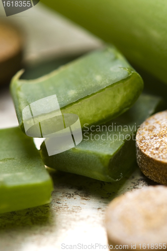 Image of aloe vera plant with pills - herbal medicine