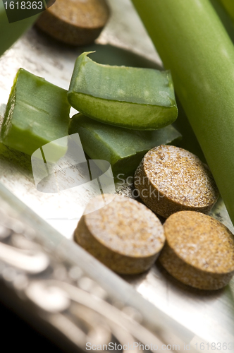 Image of aloe vera plant with pills - herbal medicine