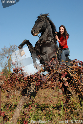 Image of rearing stallion and happy girl