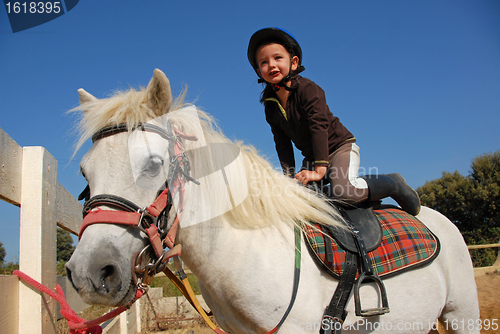 Image of little girl and shetland