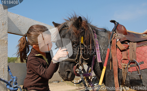 Image of little girl and shetmand